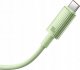 Kabel USB Baseus Baseus Habitat Series Fast Charging Cable USB to Type-C 100W 2m Natural Green 5