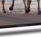 Telewizor Thomson 50UA5S13 LED 50'' 4K Ultra HD Android 6