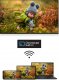 Telewizor Thomson 50UA5S13 LED 50'' 4K Ultra HD Android 9