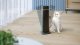 Termowentylator Philips HEATER CX5120/11 PHILIPS 8