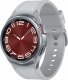 Smartwatch Samsung Galaxy Watch 6 Classic Stainless Steel 43mm Szary (SM-R950NZKADBT) 1