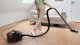 Odkurzacz Bosch Vacuum cleaner BOSCH BGS21POW2 9