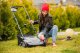 Lehmann Aerator wertykulator elektryczny 2500W 32 cm 3w1 12
