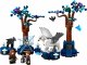 LEGO Harry Potter Zakazany Las: magiczne stworzenia (76432) 9