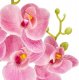 Springos Sztuczny storczyk w doniczce 56 cm orchidea dekoracyjny kwiat różowy UNIWERSALNY 4