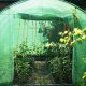 Springos Folia na tunel ogrodowy 4x2,5x2 m zapasowe poszycie na szklarnię UV-4 140gs/m zielone UNIWERSALNY 4