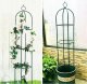 Severno Pergola ogrodowa na kwiaty, róże kolumnowa "Persian Yellow" 4