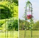 Severno Pergola ogrodowa na kwiaty, róże kolumnowa "Persian Yellow" 5