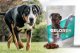 Contipro Geloren Large Dog 420g - Mieszanka uzupełniająca, żelki dla dużych psów na stawy 60 szt. 14