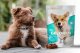Contipro Geloren Small Dog 180g - Mieszanka uzupełniająca, żelki dla małych psów na stawy 60 szt. 11