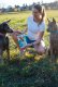 Contipro Geloren Small Dog 180g - Mieszanka uzupełniająca, żelki dla małych psów na stawy 60 szt. 6