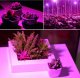 Cronos Żarówka LED do wzrostu roślin Heckermann 150LED MDA-PG01 100W 1