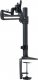 Easton Uchwyt biurkowy na monitor 13" - 27" (DDR1327SFC) 2