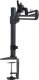 Easton Uchwyt biurkowy na monitor 13" - 27" (DDR1327SFC) 3