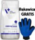 VetExpert VETEXPERT Dog Dermatosis Salmon Potato 12kg + Rękawica do czesania GRATIS! 1