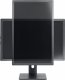 StarTech Stojak biurkowy na monitor 32" - 34" (FPPNEUSTND) 15