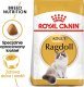 Royal Canin Ragdoll Adult 2kg + gratis 1