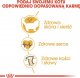 Royal Canin Ragdoll Adult 2kg + gratis 3