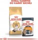 Royal Canin Ragdoll Adult 2kg + gratis 6