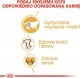 Royal Canin British Shorthair 2kg + gratis 3