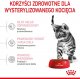 Royal Canin Kitten Sterilised 2kg + gratis 5
