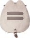 Pusheen Pusheen - Pluszowa maskotka siedzący Pusheen 23 cm 3
