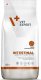 VET EXPERT VETEXPERT Dog Intestinal 12kg + niespodzianka dla psa GRATIS! 2