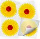 NO PEST Lep na Okno (4 szt) Sunflower Lep Pułapka Lepowa na Muchy Muszki Owocówki Mole Komary 1