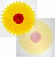 NO PEST Lep na Okno (4 szt) Sunflower Lep Pułapka Lepowa na Muchy Muszki Owocówki Mole Komary 8
