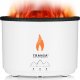 Dyfuzor zapachowy Transa Electronics Dyfuzor zapachowy Vulcano White 1
