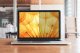 Filtr 3M Prywatyzujący Bright Screen do laptopa 14 cal (BP140W9B) 1