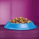 Whiskas WHISKAS Kot Adult Sucha Karma z tuńczykiem 7kg 1