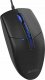 Mysz A4Tech A4tech N-530S, podsvícená kancelářská myš, 1200 DPI, USB, černá 4