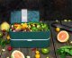 Monbento Monbento Bento Original Graphic Jungle zielony 3