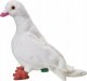 Beppe Maskotka Gołąb 20cm biały 3