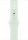 Smartband Apple APPLE 45mm Soft Mint Sport Band - S/M 1