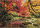 Clementoni Puzzle 1500 elementów Compact Autumn Park 1