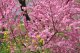 Obiektyw Fujifilm Lens Fujinon XF-55-200mmF5.5-F4.8 R LM OIS 1