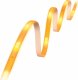 Taśma LED WiZ WiZ | Smart WiFi Lightstrip 4m Type-C | 10.5 W | 2200-6500 K (RGB) 3