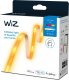 Taśma LED WiZ WiZ | Smart WiFi Lightstrip 4m Type-C | 10.5 W | 2200-6500 K (RGB) 4