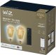 WiZ ,ST64 Edison,7W,2000-5000,ST64,E27,2 pcs lightsource + 1 remote controller 23