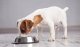 Brit Care Mono Protein Hypoallergenic Senior 12kg 3