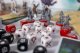 Portal Games Gra Assassins Creed Brotherhood PL 6