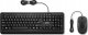 Klawiatura + mysz Lenovo Lenovo | 160 Combo | Keyboard | Wired | Mouse included | US | Black | USB-A 2.0 2