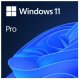 System operacyjny Microsoft Windows Pro 11 64-bit Slovak USB 2