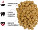Biofeed BIOFEED PSI KĄSEK - KARMA SUCHA DLA DOROSŁYCH PSÓW 20 KG 5