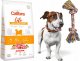 Calibra CALIBRA LIFE Adult Small Breed amb - karma dla psa - 6 kg 2
