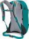 Plecak turystyczny Osprey Plecak turystyczny OSPREY Hikelite 26 Escapade Green 6