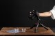 Statyw Fotopro Fotopro X-go mini 2 Statyw z głowicą kulową 7