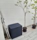 Skrzynia ogrodowa Prosperplast WoodeBox 140 l Antracyt 1